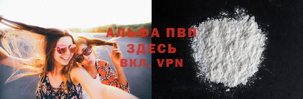 гидра Белокуриха