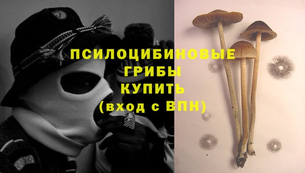 скорость Баксан