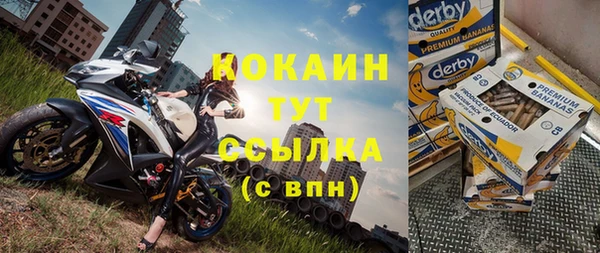 гидра Белокуриха