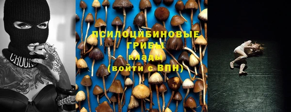 гидра Белокуриха