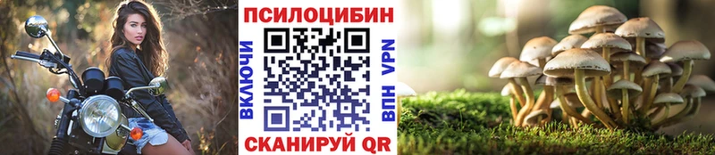 Галлюциногенные грибы Cubensis  Салаир 